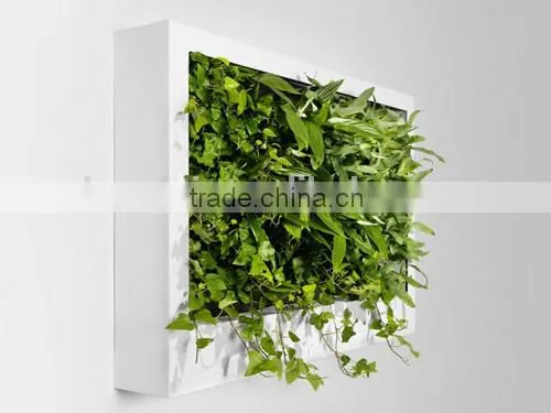 home decorative artificial grass plants wall grass wall pieces on sale
