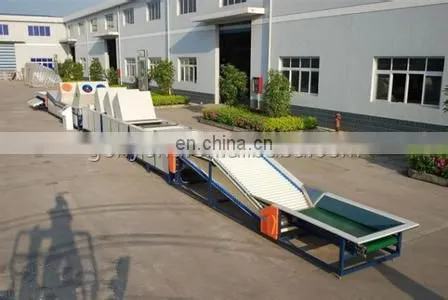 vegetable washing machine