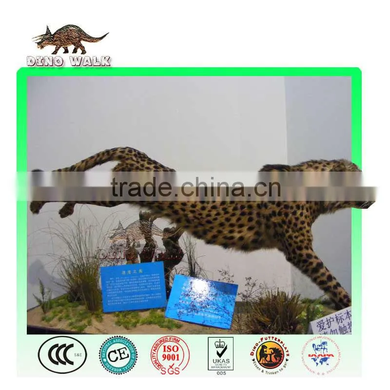 Safari Animal Model