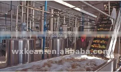 Automatic fruit washing machine manufactured in Wuxi Kaae with ISO and CE