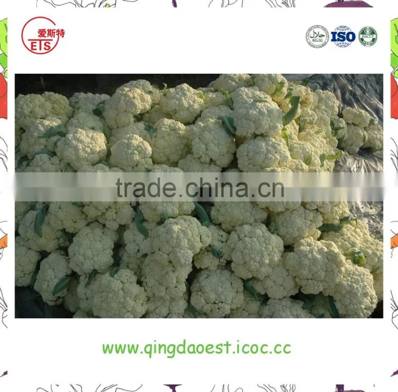 Harvest for sale in Competitive Price Chinese Fresh Cauliflowers