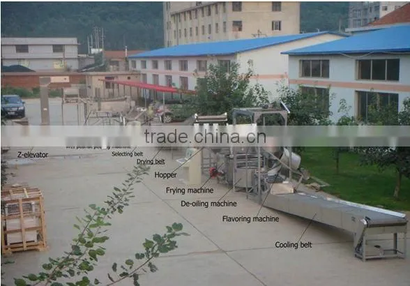 fried peanut processing line