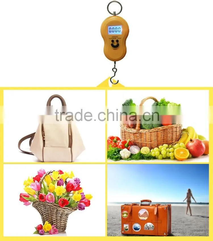 Household Weighing Mini Portable Scale