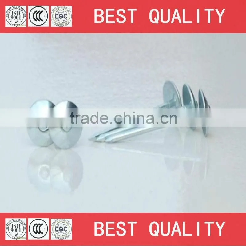 BWG8 iron roofing nail with umbrella head