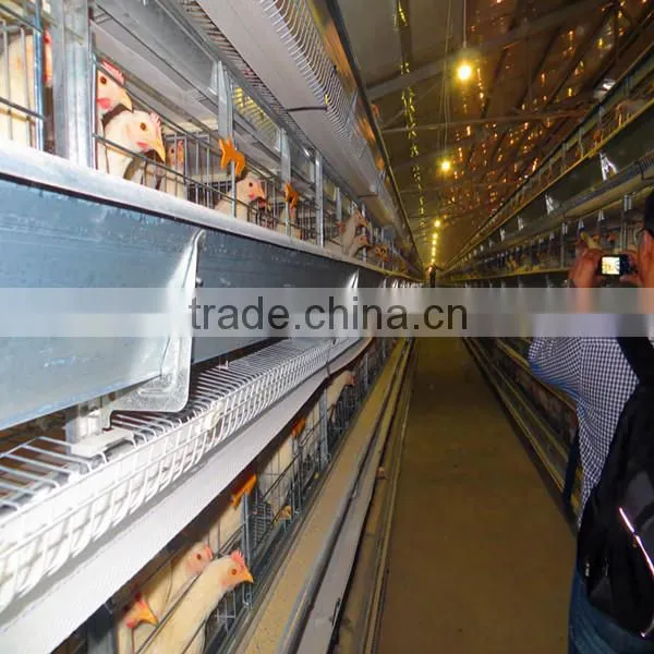H type automatic chicken cage