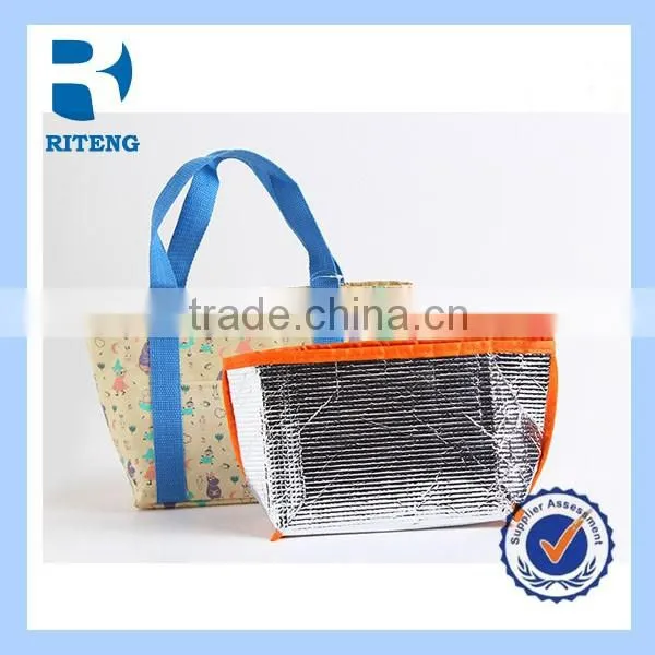 Color Print Portable Thermal Insulation Cooler Bag