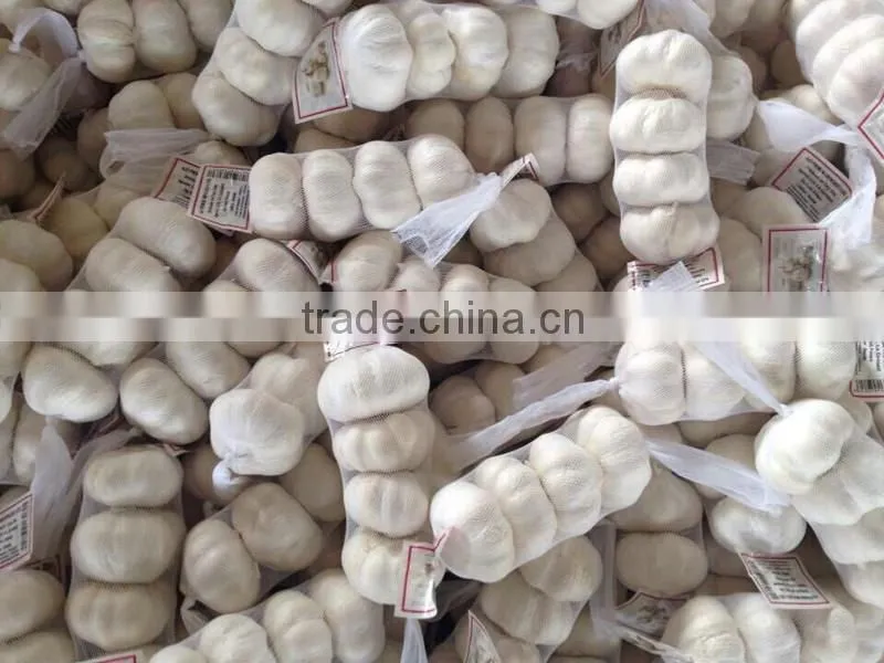 Fresh Pure White Garlic 5.0cm Packed In Carton