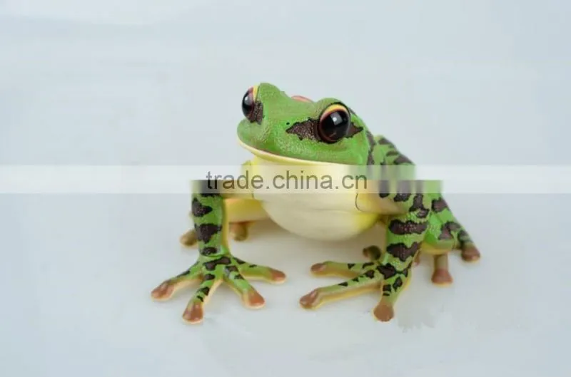 V-AM058 4D MASTER Frog specimen anatomical model