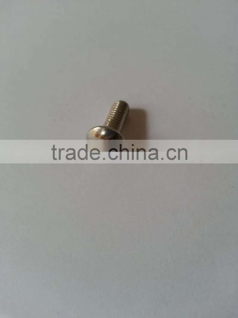 stainless steel safety screw