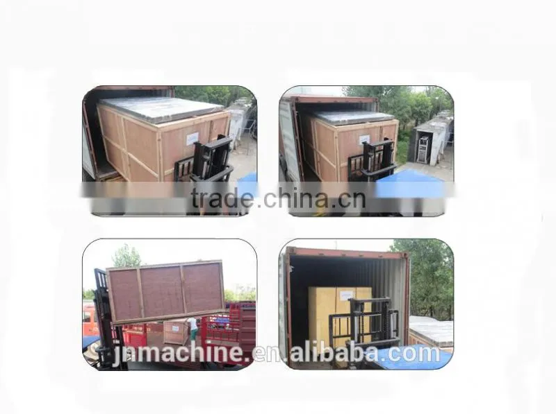 DXDF320 High speed back seal automatic coffee powder packing machine