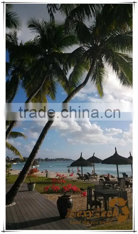 Platform roof balcony flooring New Technology WPC composite wood decking floor