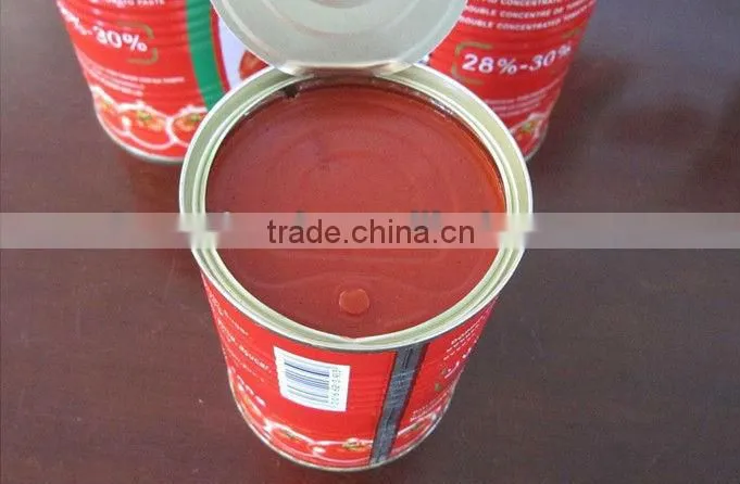 Tomato Paste Canned
