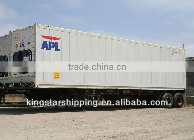 20'RF Container for frozen duck