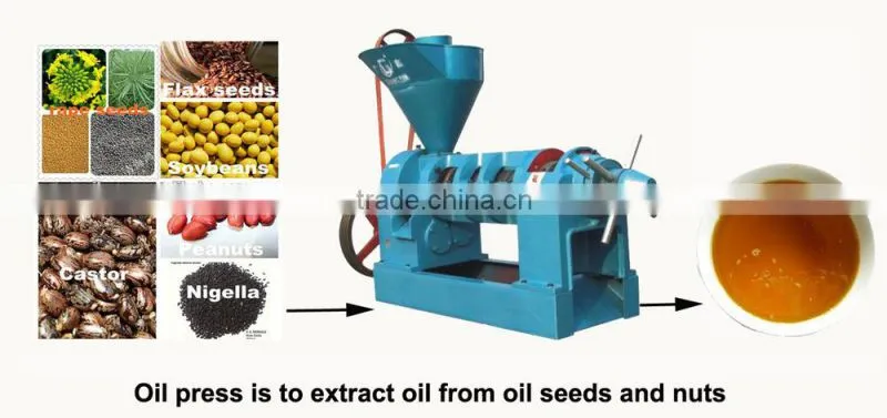 2016 top sales !!! Mini cold Oil Press
