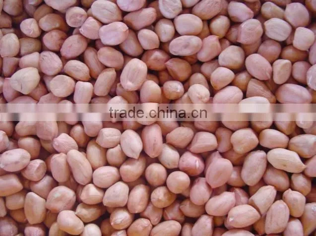 supply peanut kernel