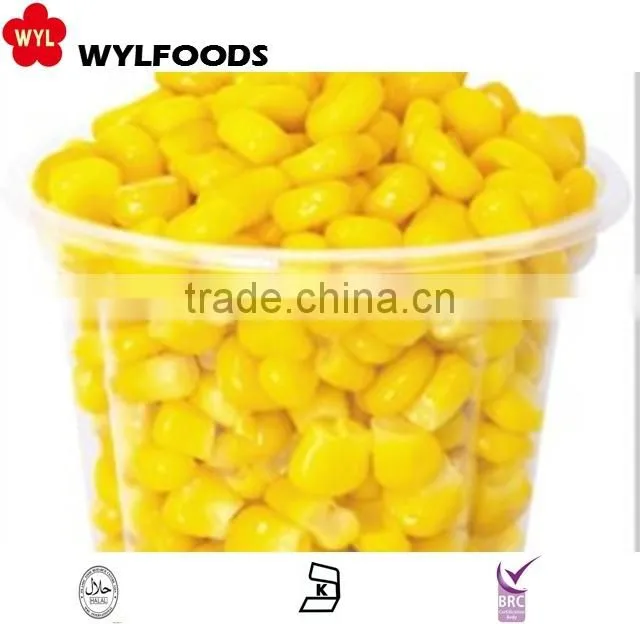 high quality iqf frozen sweet corn