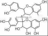 Grape seed extract polyphenol 80%