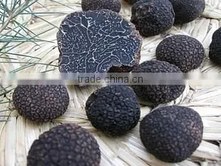 Frozen Black Truffle Grade A