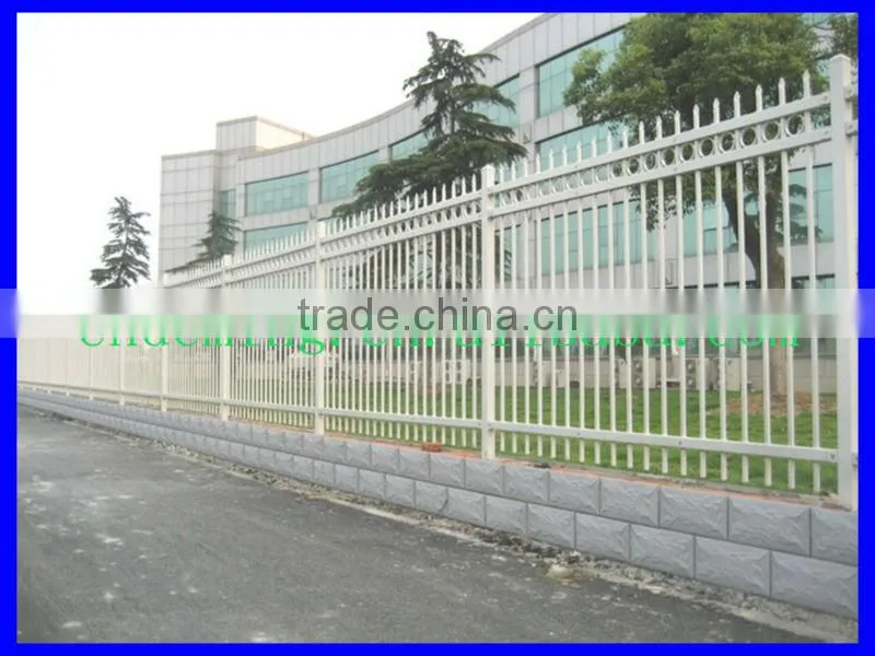 Professional Anti-climb decorative fence/garden fence