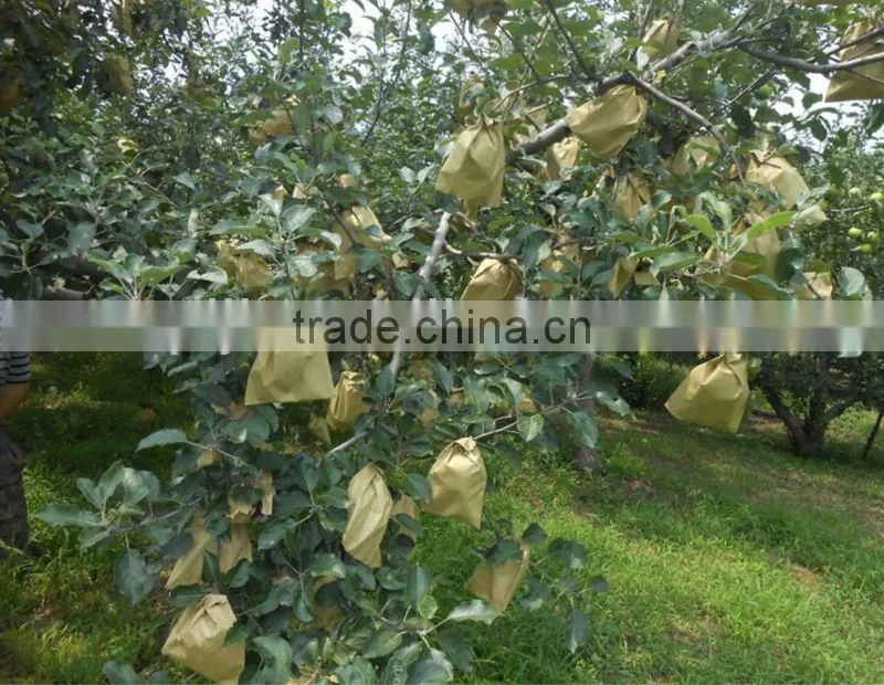 Liquid chitosan bio fungicide foliar spray organic fertilizer for agriculture
