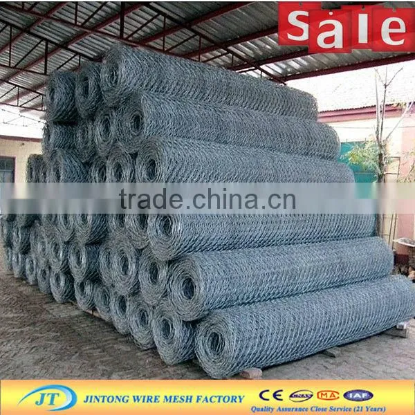 anping Jintong factory roll galvanized chicken wire mesh