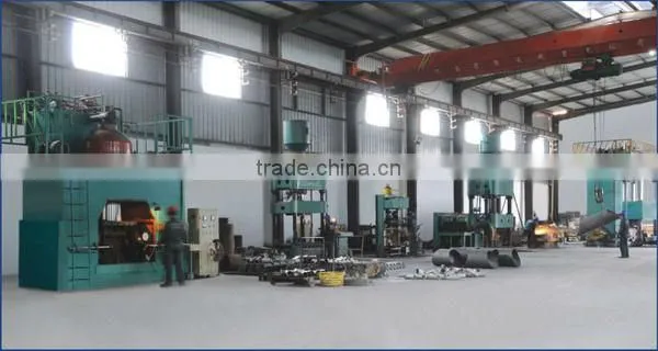 Stainless Steel Pipe Fitting/90 degree Elbow