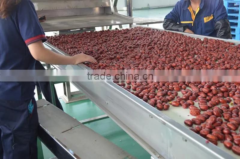 Mesh machine Type and New Condition Mesh Belt Dryer