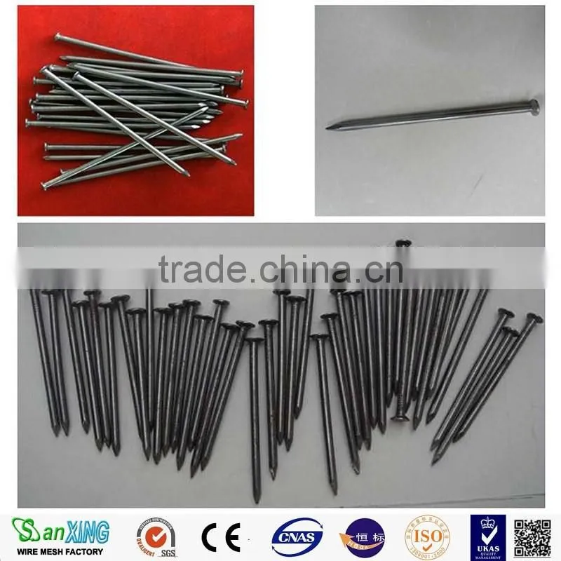 Sanxing construction material polish common nail sns nail