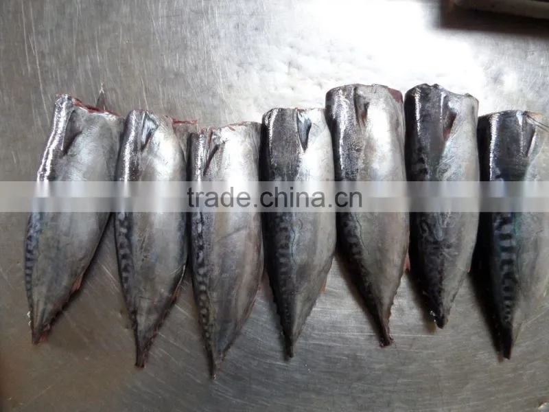 Frozen Bonito HGT