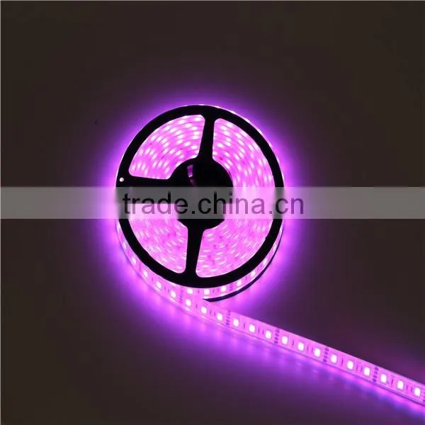 283 rgb led strip LIGHT
