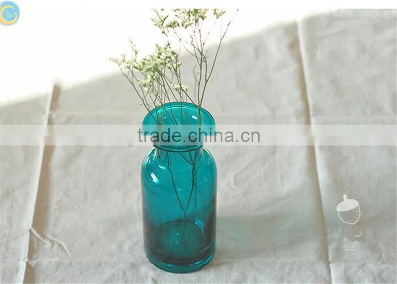 glass terrarium vase different shape different colors
