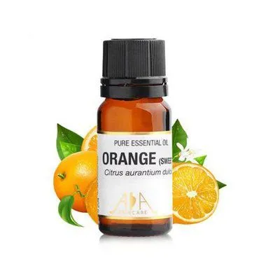 50L Plant Flower Agaric Essential Oil Hydrosol Distiller Distillation Machine Extractor Extraction Machine Extracting Equipment