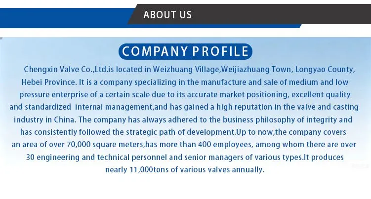 BS Swing Check Valve 1-10.jpg.webp