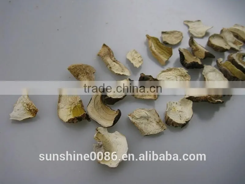 Wild dried white porcini mushroom