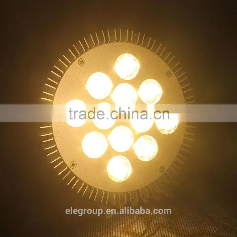 2014 factory wholesale high power led par38 light