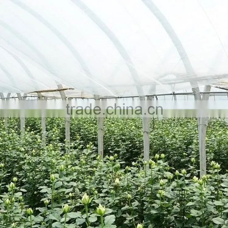 Alibaba china hot-sale cut fresh pink and violet cotton bakers twine
