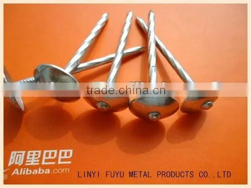 umbrella head roofing nail with twisted shank