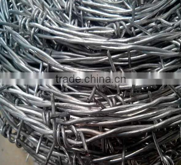 hot-dipped /electric barbed wire /Anping professional factory