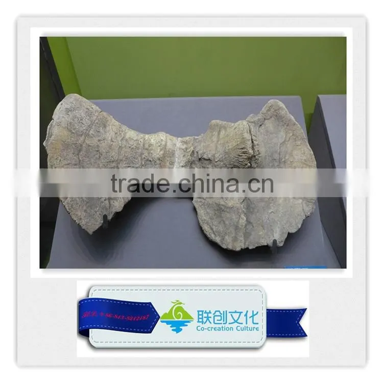Lufengosaurus children park dinosaur fossils for sale