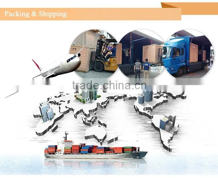 Two Heads Automatic Powder Filling Machine