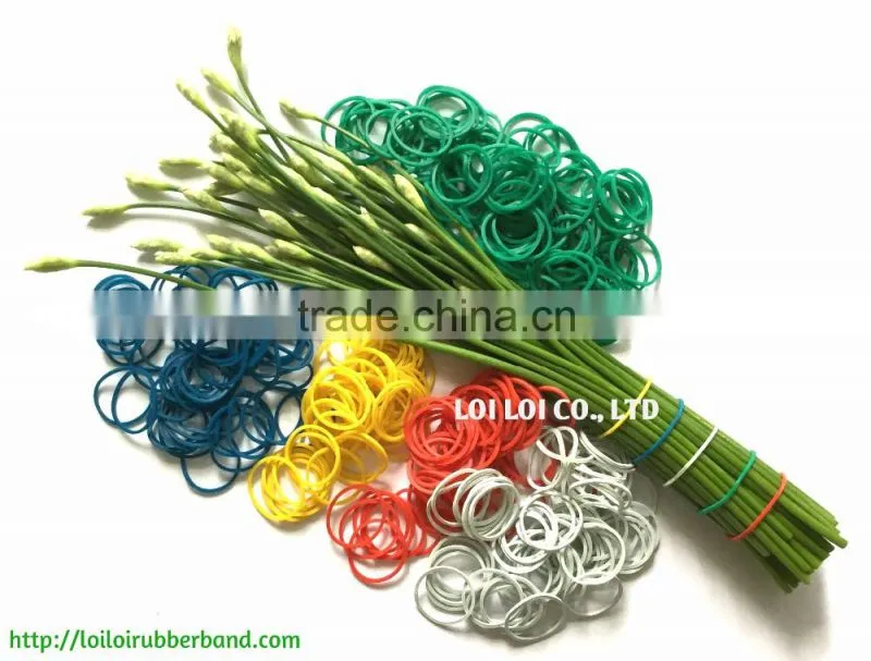 Rubber band for Stationery - Money - Vegetables - Household