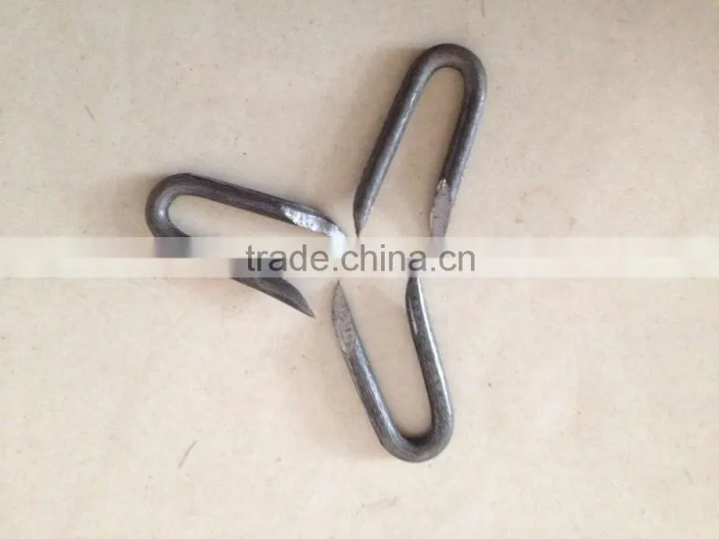 hoop staples/U type nails factory