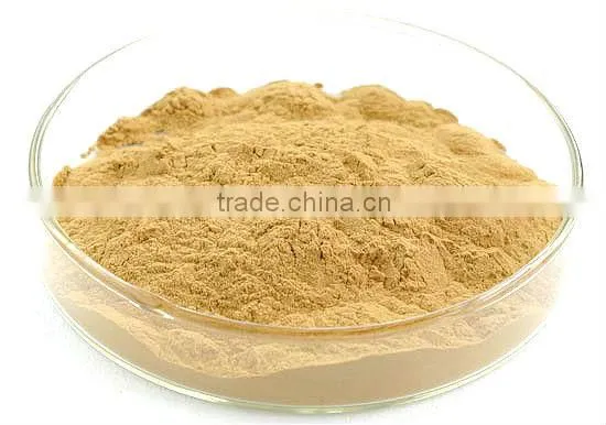 pure Ginkgo biloba leaf extract
