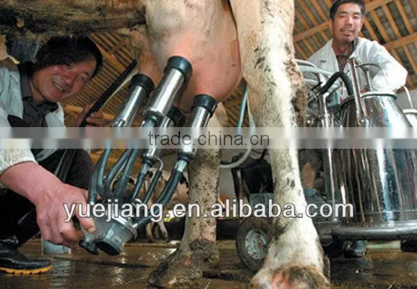 cattle milk machine with high quality