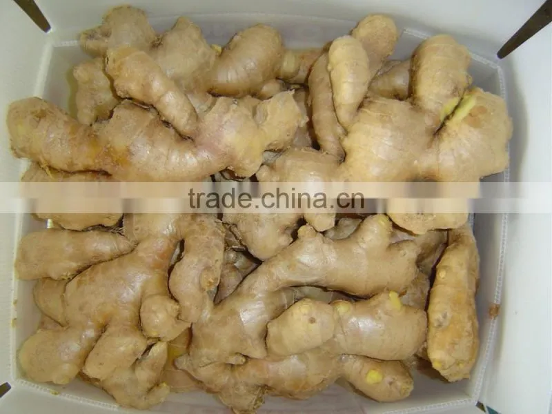 Chinese fresh ginger