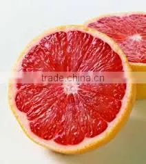 Best Manufacturer of Grapefruit Oil