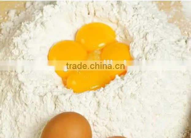 2014 Most Populared Food Mixer at Factory Price/+86 189 39580276