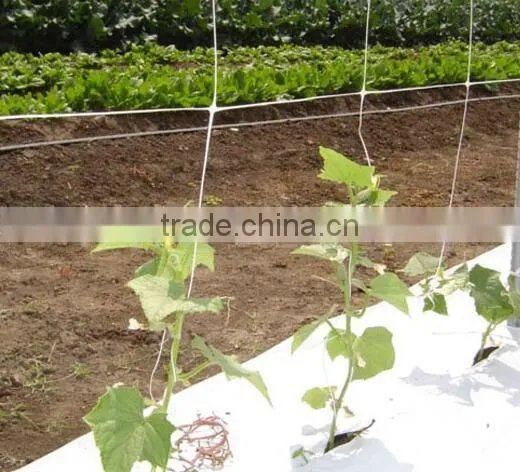 Plant Support Netting | Pea and Bean Climbing Mesh