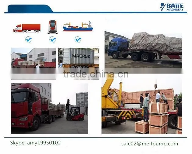 Chinese supplier chemical pump