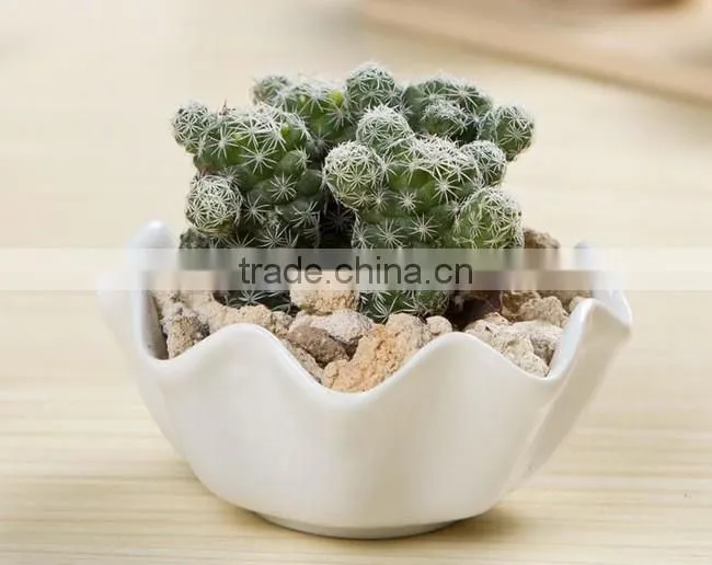 Creative zakka white ceramic indoor planters for succulents